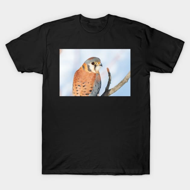 Tiny Falcon T-Shirt by gdb2